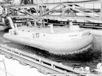 SRN4 early developmental days